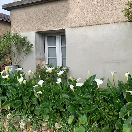 Les Acanthes 2ch Centre